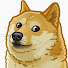 zpJYIeyeiWQ-channel-avatar-Doge Wow