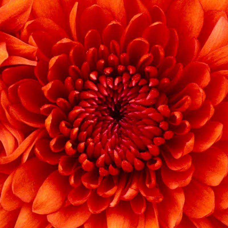 1 1