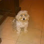 jorgealtamirano5533