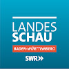 What could SWR Landesschau Baden-Württemberg buy with $531.5 thousand?