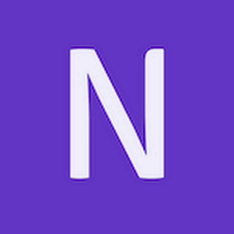 NetNet Fintech