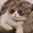 @코코맘-g2q