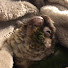 U2n04pwjJvg-channel-avatar-Zalabar (Zalabar)