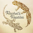 89GrPwOjB98-channel-avatar-Rachel's Reptiles