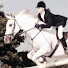 x5TUqk74awU-channel-avatar-WildWhitePony