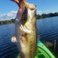 Anarchy Fishing