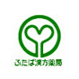 薬剤師・鍼灸師 緋田哲治(就実大学薬学部特任教授)