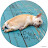 @user-nb1gu2lc3u