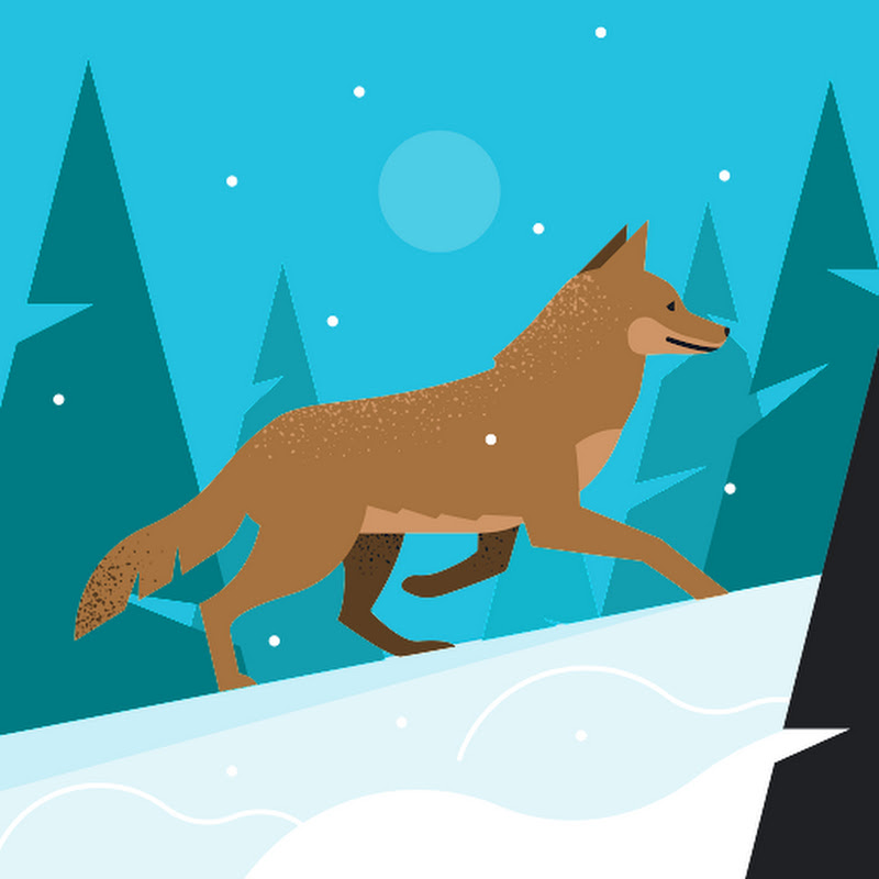 Coyote Crafty