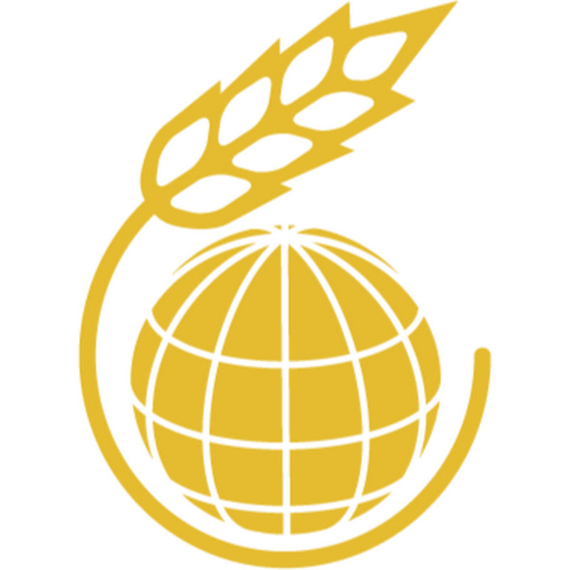 FFINetwork