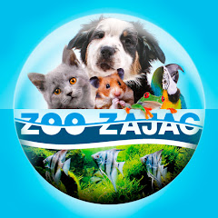 Zoo Zajac Avatar