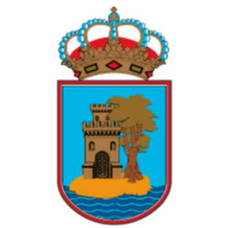 Cámaras de tráfico de Vigo logo
