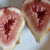 熟熟ch