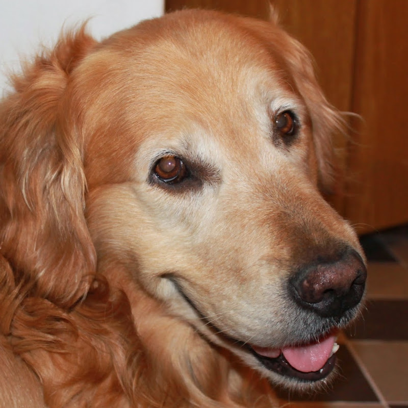 veleroalquimista3125