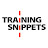 @TrainingSnippets