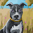 H11_yo9DHEg-channel-avatar-Richard Wood