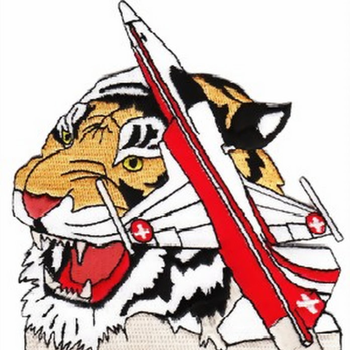 RCHeliJet Net Worth & Earnings (2026)