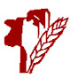 BattleRiverResearch logo