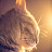 @ruby19462's avatar