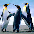 Channel Image