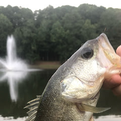 GA Fishing