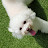 @물콩맘
