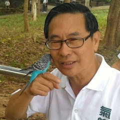 涂醒哲