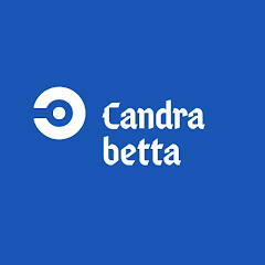 Betta fish candra net worth