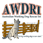 Australian Working Dog Rescue