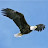 @mohamedelhag7778