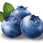 blueberry kidstv logo