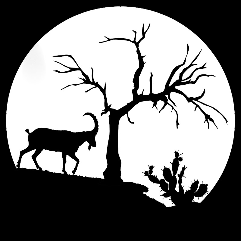 Bushcraft Israel