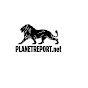 PlanetReport.net logo