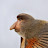 @geraldsims4362 Avatar