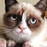 hEH3rUg11J8-channel-avatar-Pocok