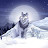 @Ice_cold42's avatar