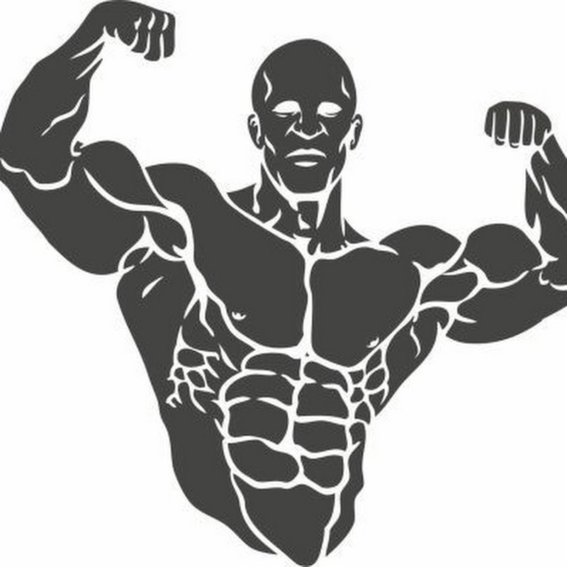 Gym And Home Workout