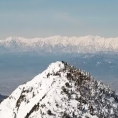 ネコタドットコム