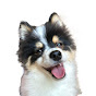 Jimba Pomsky logo