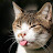 youtube avatar