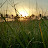 @أحمدالغافري-ذ1ه's avatar
