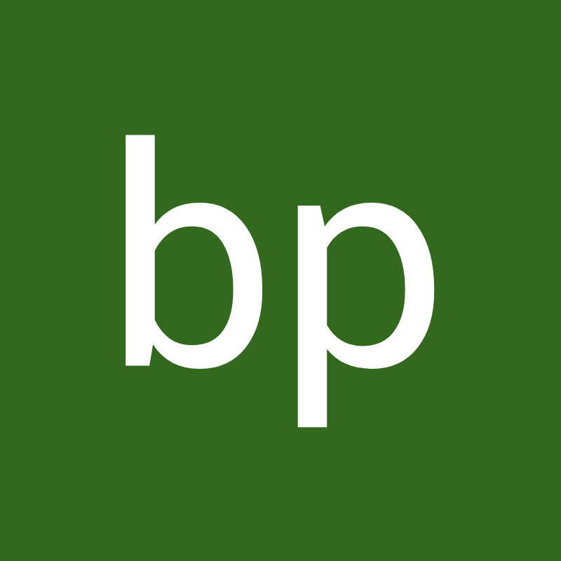 bp story