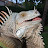 Iguana Solutions