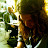 @Kapteinar's avatar