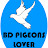 BD Pigeons Lover