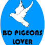BD Pigeons Lover logo