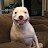 @doggbyttt9465's avatar