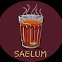 SAELUM logo