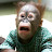 @stuuppidmonkey