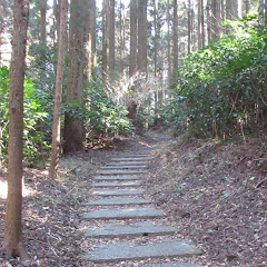 資材の森【公式】